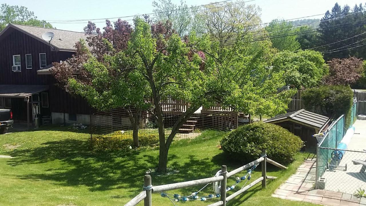 Nassau Motel 레이크 헤오르헤 외부 사진